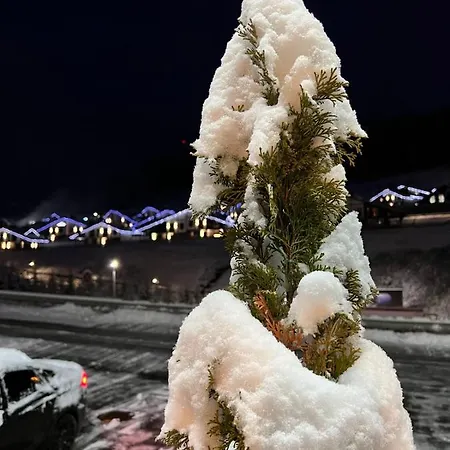 Отель Blanc Буковель